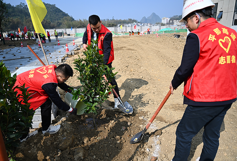02 平那公司植树活动.jpg